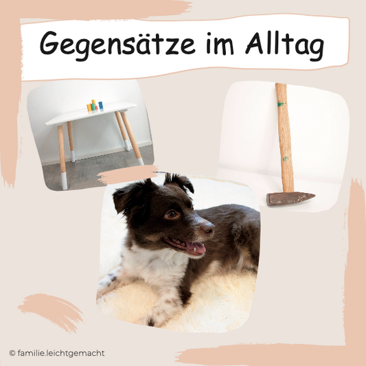 Kinderbuch "Gegensätze im Alltag"
